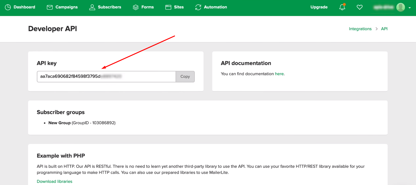 Facebook and MailerLite integration | Copy API key Facebook and MailerLite integration | Copy API key