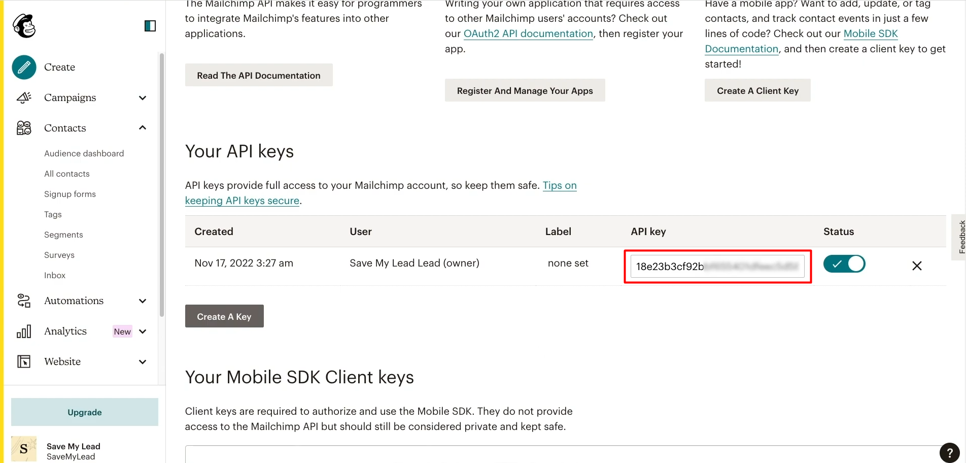 Google Lead Form and Mailchimp integration | Copy the API key Google Lead Form and Mailchimp integration | Copy the API key
