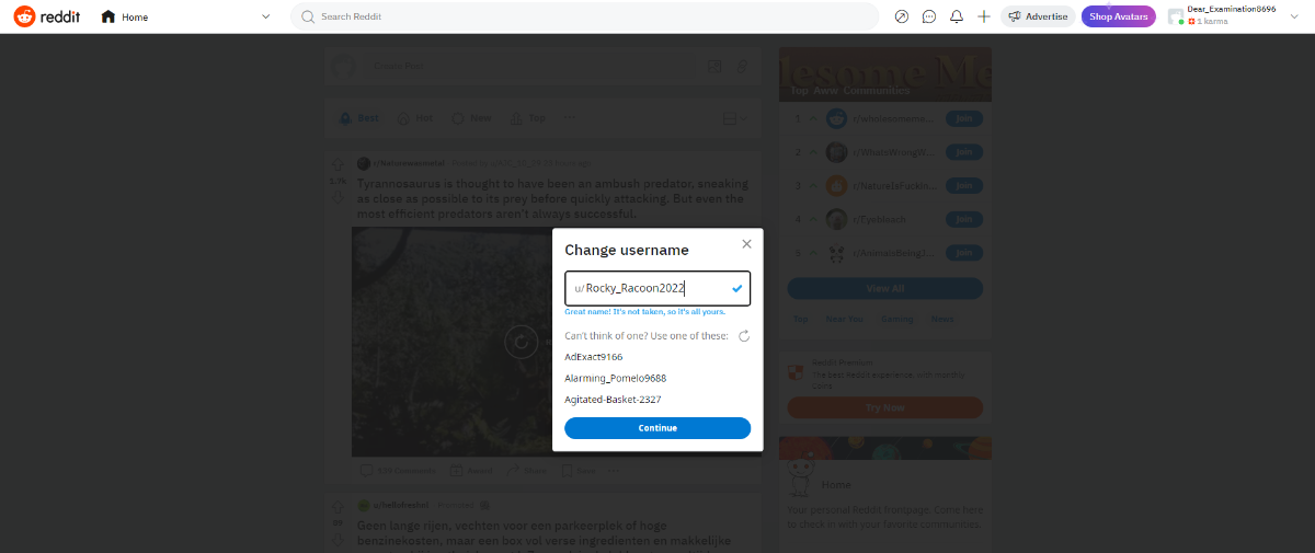 Click Continue and Save Username Click Continue and Save Username