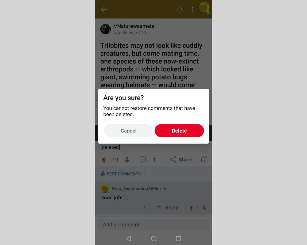 How to delete Reddit history | Сonfirm deletion
How to delete Reddit history | Сonfirm deletion