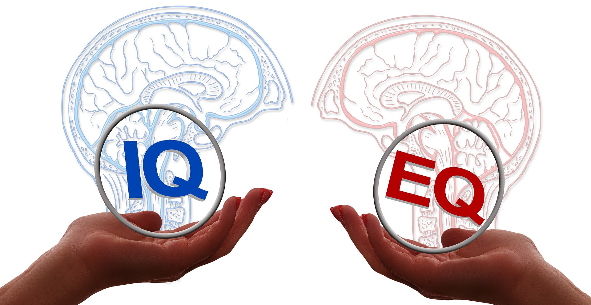 What you need to know about Soft skills | Emotional intellect What you need to know about Soft skills | Emotional intellect
