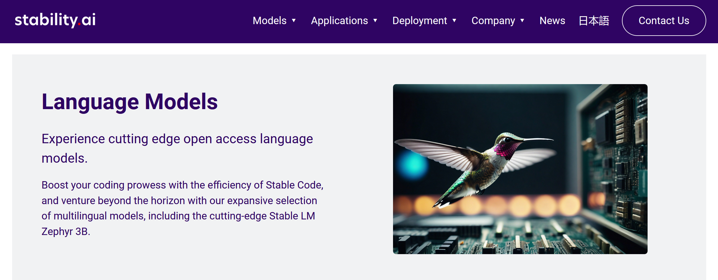 Stable Code Stable Code
