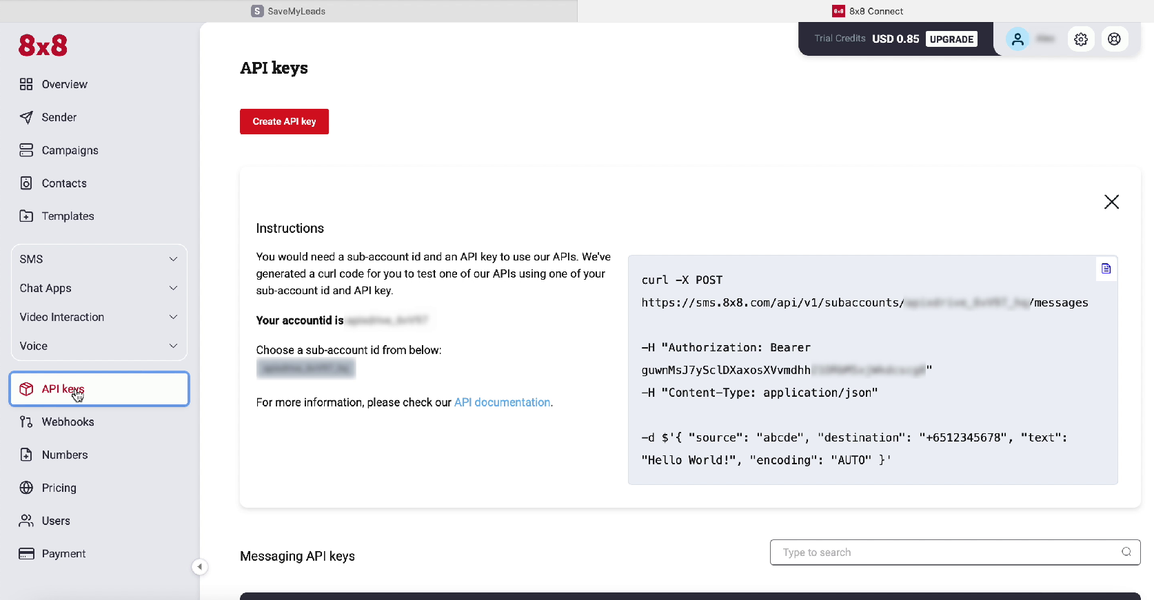 API Keys window API Keys window
