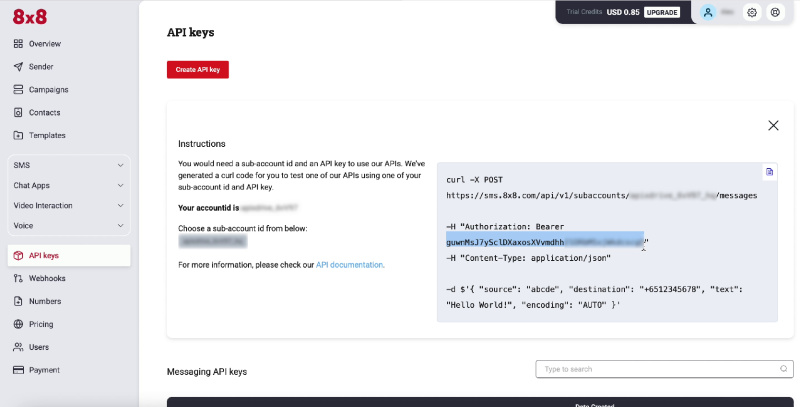 Copy the API Keys correctly