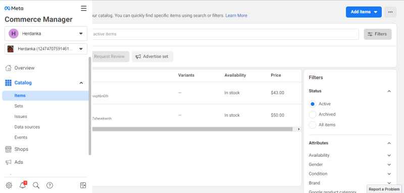 Manage uploaded items to the store