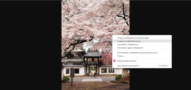 How to Save Pictures from Pinterest | Save picture as...