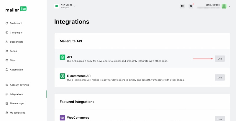 MailerLite and TikTok integration | In the API section, click "Use"
