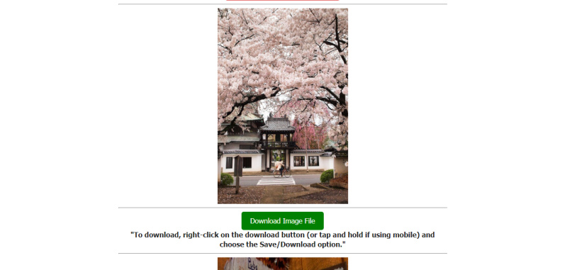 How to Save Pictures from Pinterest | Download Image File