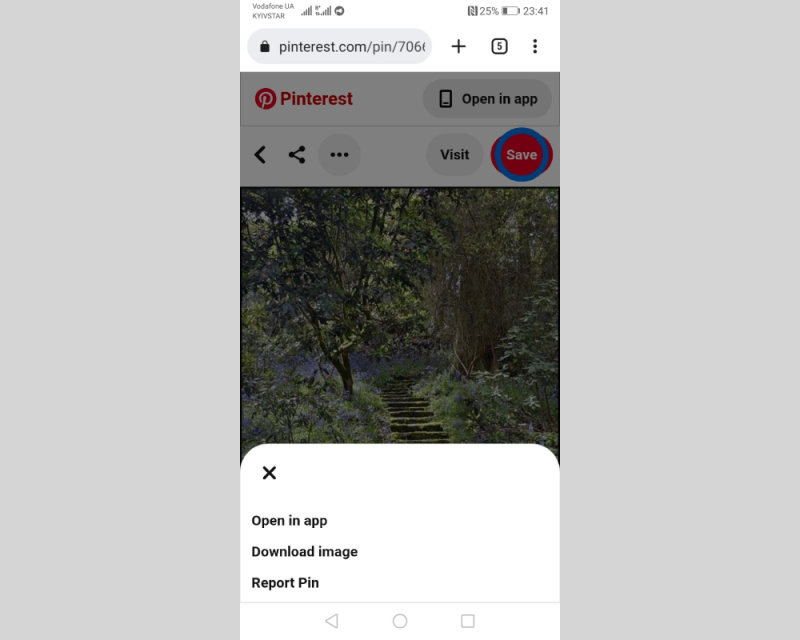 How to Save Pictures from Pinterest | Download image