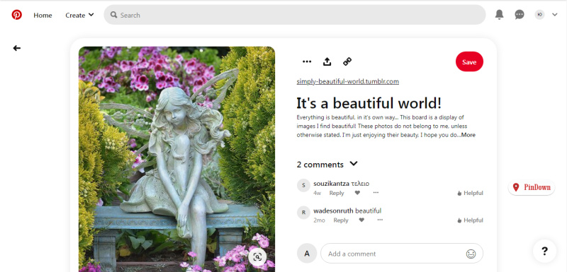 How to Save Pictures from Pinterest | Button «PinDown»