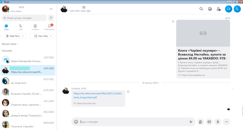 Interface Skype