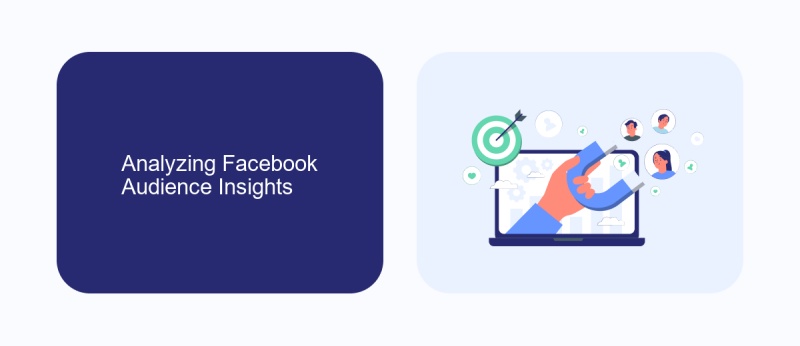 Analyzing Facebook Audience Insights
