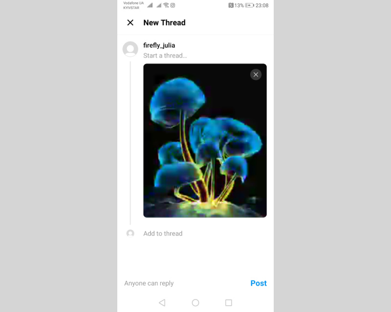 Post with image