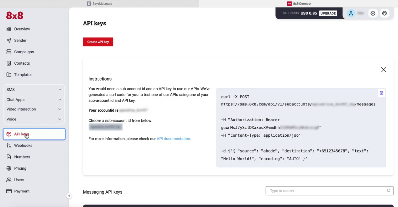 API Keys window