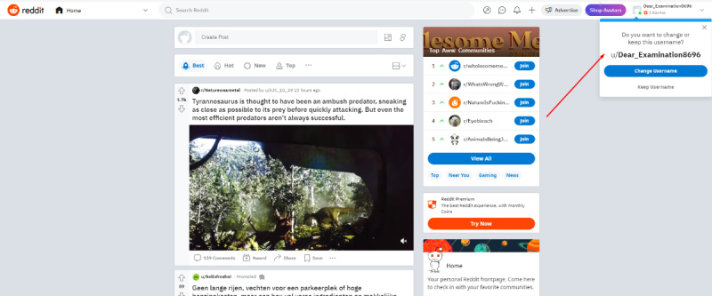 Open Reddit as a Registered User