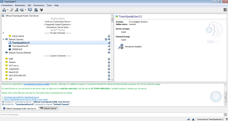 Interface TeamSpeak