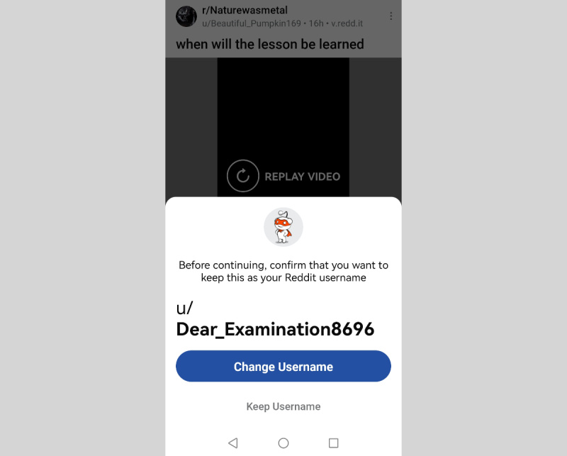 Click on the Change Username button