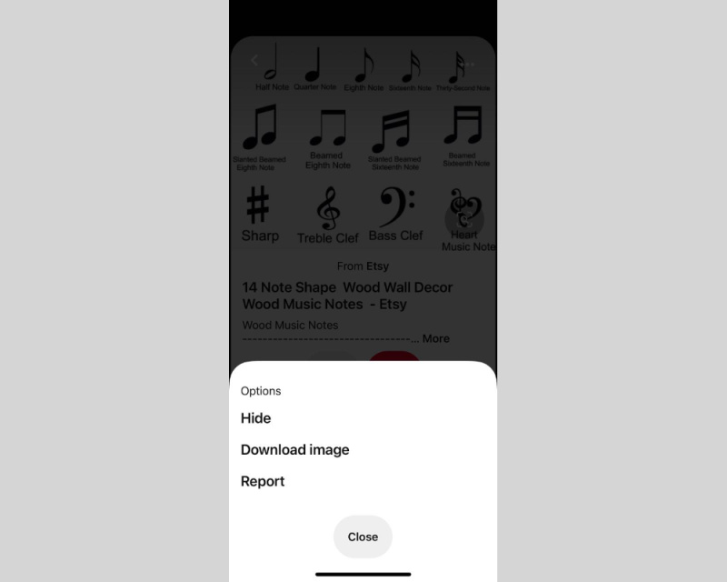 How to Save Pictures from Pinterest |&nbsp;select&nbsp;Download image