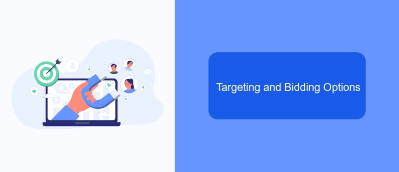 Targeting and Bidding Options