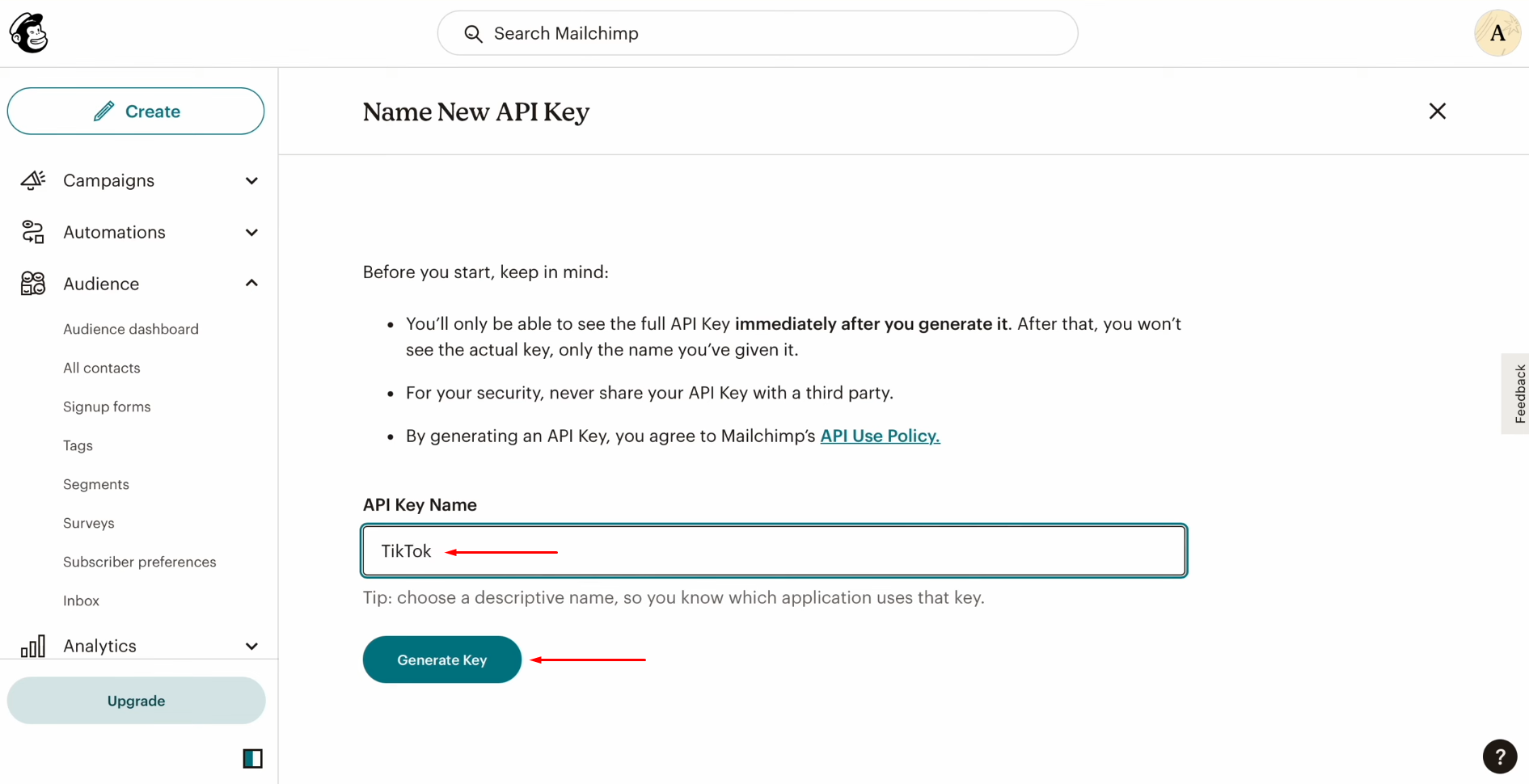 TikTok and Mailchimp integration | Specify a name for the new API key and click “Generate Key” TikTok and Mailchimp integration | Specify a name for the new API key and click “Generate Key”