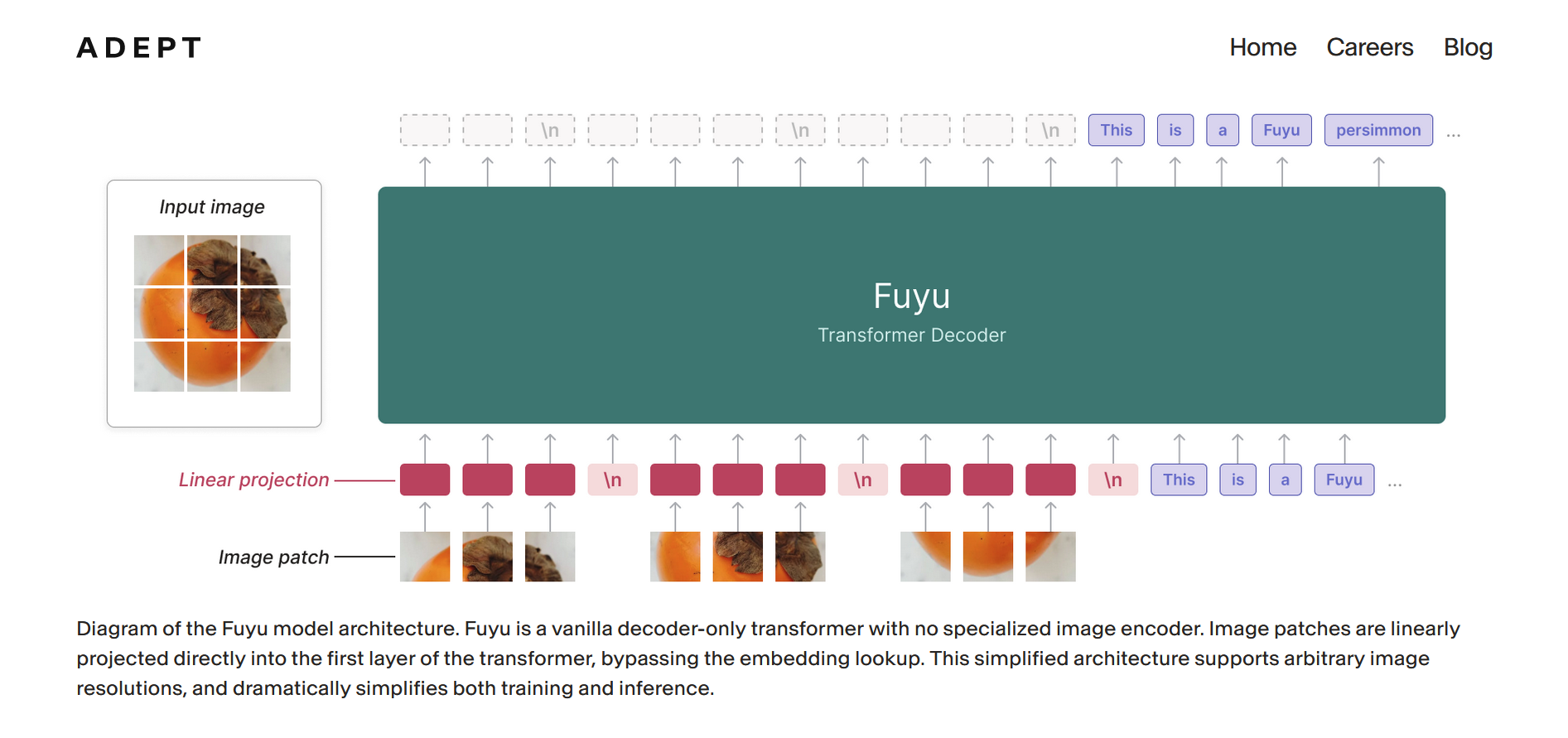 Fuyu-8B Fuyu-8B