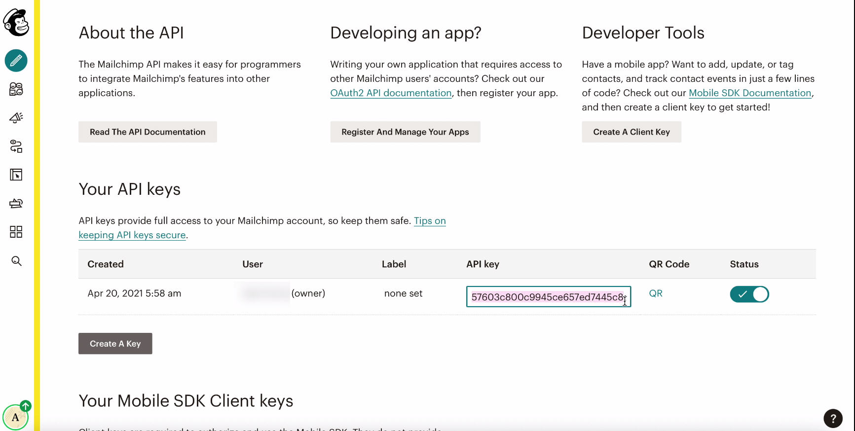 MailChimp and Facebook integration | Copy the generated key MailChimp and Facebook integration | Copy the generated key 