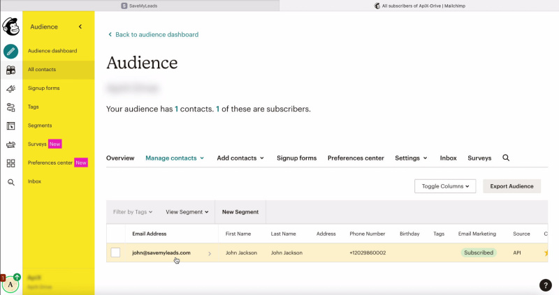 MailChimp and Facebook integration | The data has been successfully received